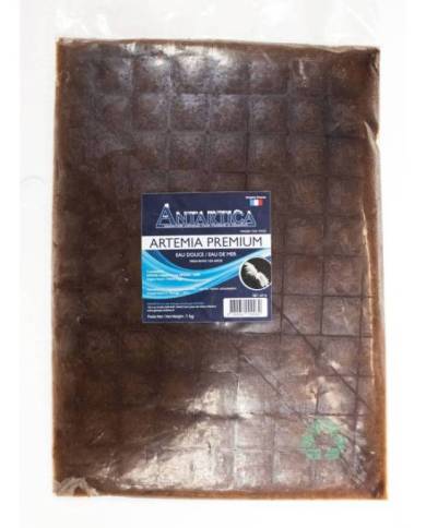 Antartica - Artemia Premium - Plaque - 1Kg