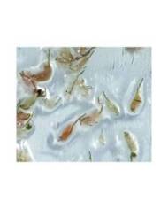 Antartica - Artemia Premium - Blister - 100g