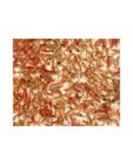 Antartica - Artemia Premium - Blister - 100g