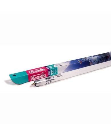 *FCY* Marine Blue 420 Actinic Tube T5 24 Watts 22 pouces - 550mm