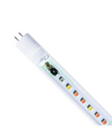 Z - AQS - T5 LED Marine White 18000K - 74,2 cm - 12W