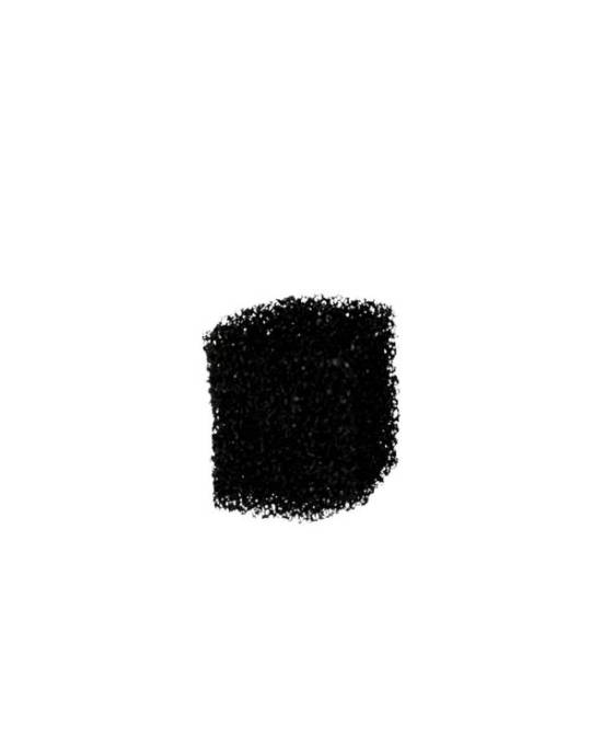 Aquavie - Mousse avec charbon pour filtre V100 - 2 pcs