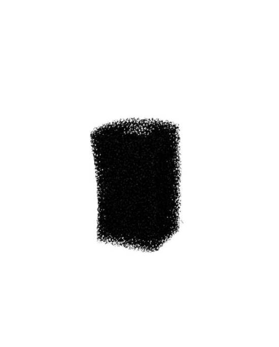 Aquavie - Mousse avec charbon pour filtre V200 - 2 pcs