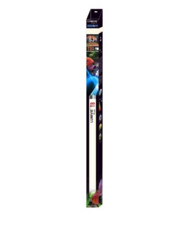 *FCY* Tube LUMIVIE SJ (lumière du jour) - T8 58w (150cm) NEW P