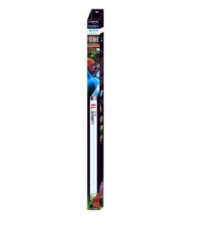 *FCY* Tube LUMIVIE SB (blanc) - T8 18w (60cm) NEW P