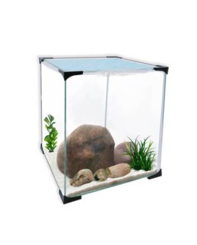 Aquavie - Aquarium Cube 10 + couvercle - 20x20x25 cm - 10L
