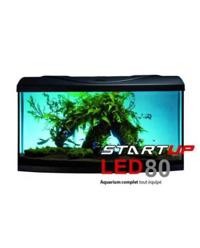 Aquavie - Aquarium START UP 80 LED bombé équipé - Noir - 80x35x40 cm 