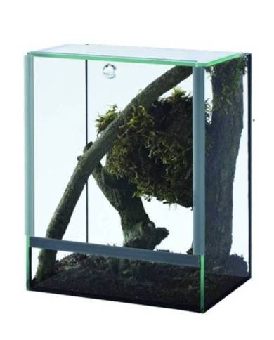 TERRARIUM ARAIGNEE 25x30x30 3mm