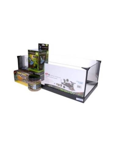 Aquavie - Kit Tortue Terra 60 - 60x30x20 cm (ampoule RP)