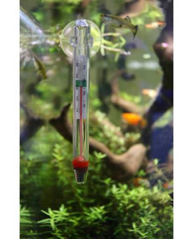 AQUAVIE THERMOMETRE EN VERRE