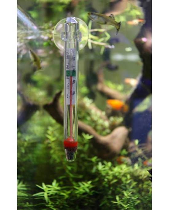 Aquavie - Thermomètre en verre