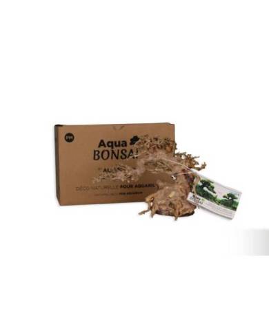 AQUAVIE BONSAI NATUR PM