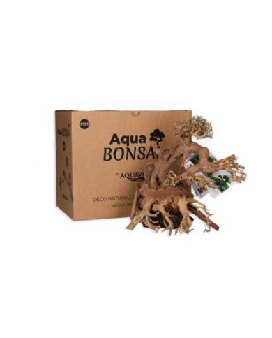 Aquavie - Bonsaï Nature MM - env. 24x20x16 cm