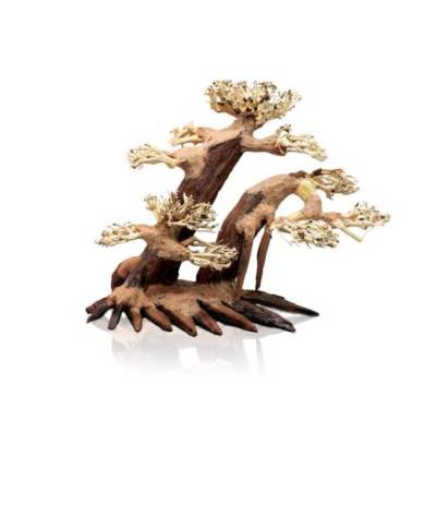 Aquavie - Bonsaï Nature L/XL - env. 30x20x25 cm