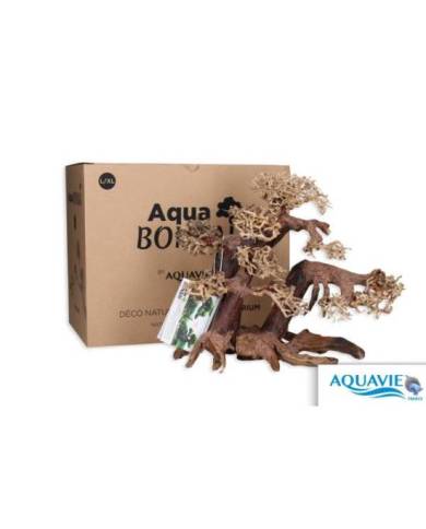 AQUAVIE BONSAI NATUR L-XL
