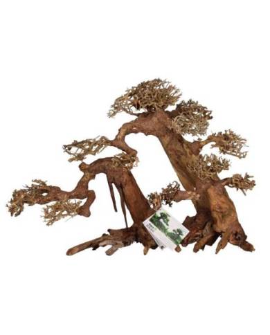 AQUAVIE BONSAI NATUR XL++