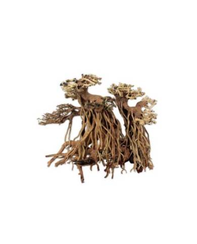 AQUAVIE BONSAI DOUBLE NATUR PM