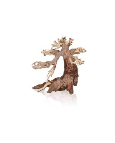 Aquavie - Bonsaï Nature XS - env. 13x9x13 cm