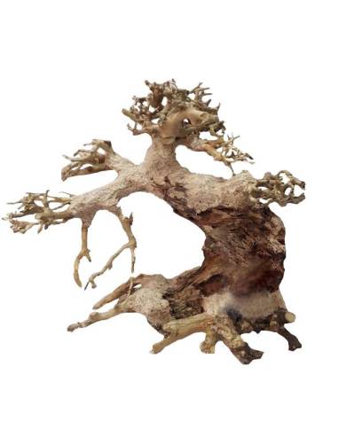AQUAVIE BONSAI NATUR XS