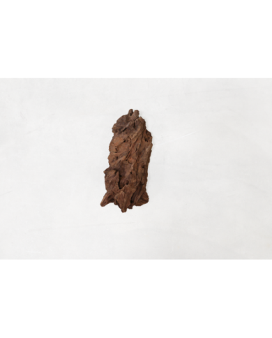 RACINE MANGROVE MS 25-40CM