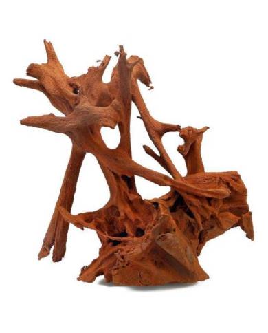 RACINE MANGROVE TGM 80-120CM