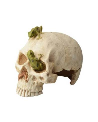 Aquavie - Décoration résine - Crâne Fun - 16,5x12x13 cm