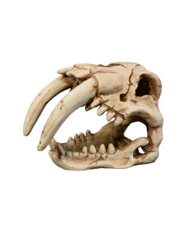 Aquavie - Décoration résine - Crâne Ratich - 15x9,5x11 cm