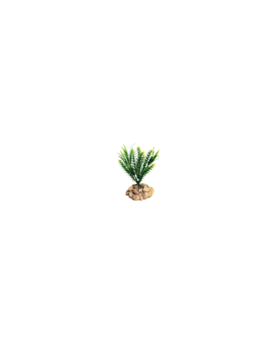 DECO R TERRA PLANTATION FEUILLAGE BASE FOUGI