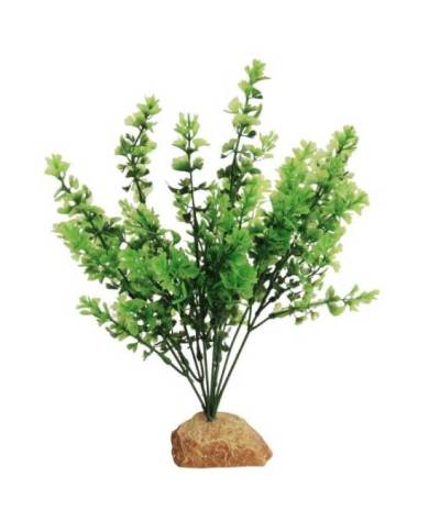Aquavie - Plante artificielle sur socle - Feuillage - 30 cm
