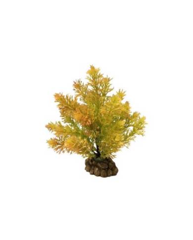 Aquavie - Plante artificielle sur socle - Large Automne - 23 cm