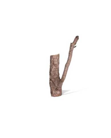 BRANCHE DE LIEGE taille 85 130cm - poids inf. à 3kg