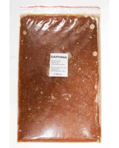 *SC* DAPHNIE PLAQUE 500GRS
