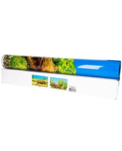 Genesis Aquatics - Poster double face - Racine/Mousse - 60x150 cm