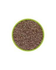 Hobby - Oeufs d'artémia - 20mL