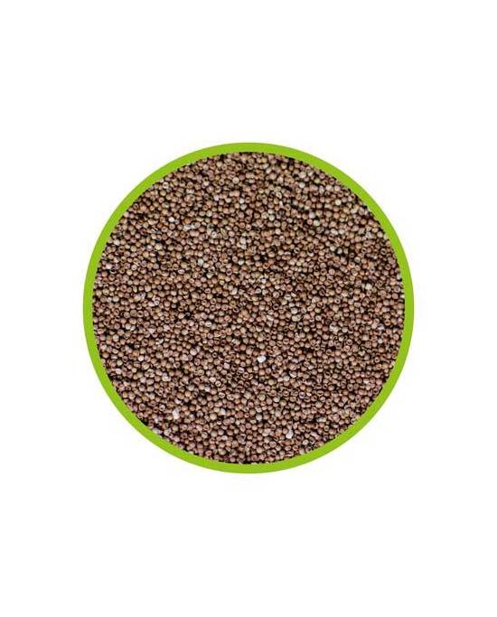 Hobby - Eclosoir à artémias