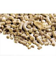 Hobby - Protogen - infusoires avec spiruline - 20mL