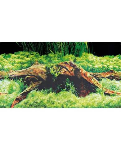 Hobby - Poster - 2 faces - Spring/Moss - 30 cm x 25 m