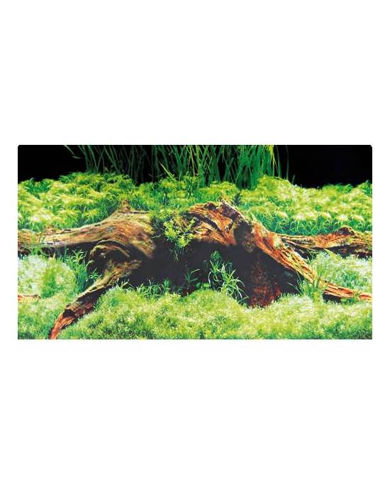Hobby - Poster - 2 faces - Spring/Moss - 50 cm x 25 m