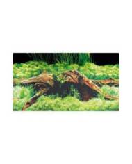 Hobby - Poster - 2 faces - Spring/Moss - 50 cm x 25 m