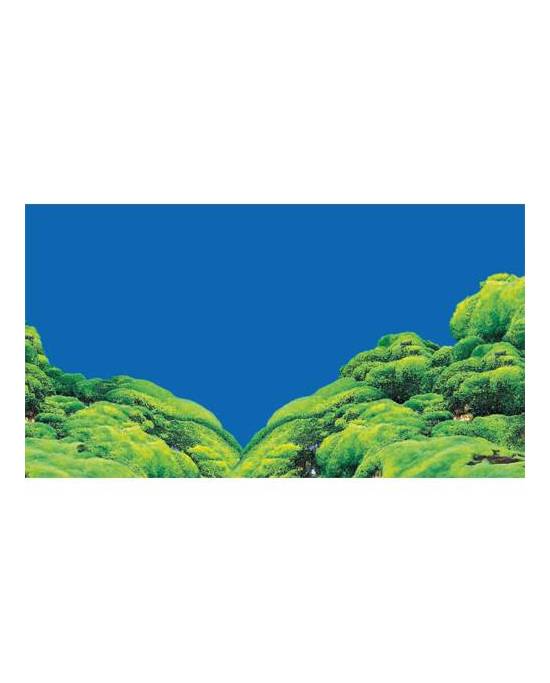 Hobby - Poster - 2 faces - Spring/Moss - 50 cm x 25 m
