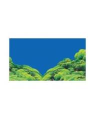 Hobby - Poster - 2 faces - Spring/Moss - 50 cm x 25 m