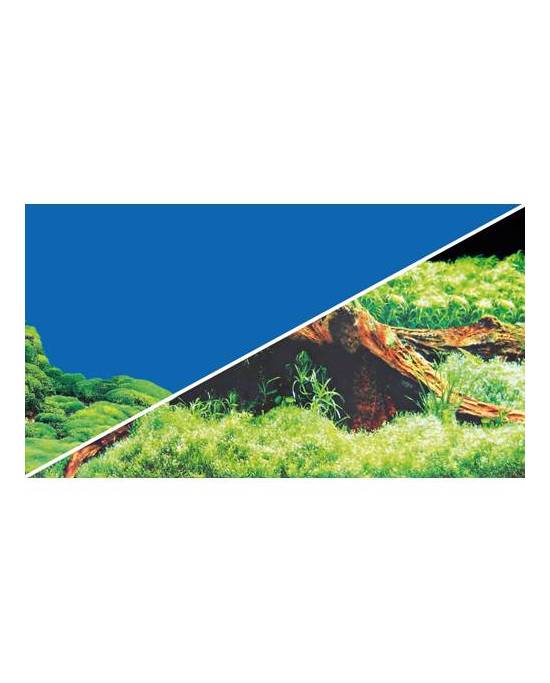 Hobby - Poster - 2 faces - Spring/Moss - 50 cm x 25 m