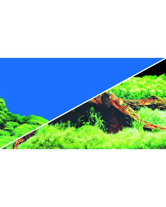 Hobby - Poster - 2 faces - Spring/Moss - 50 cm x 25 m