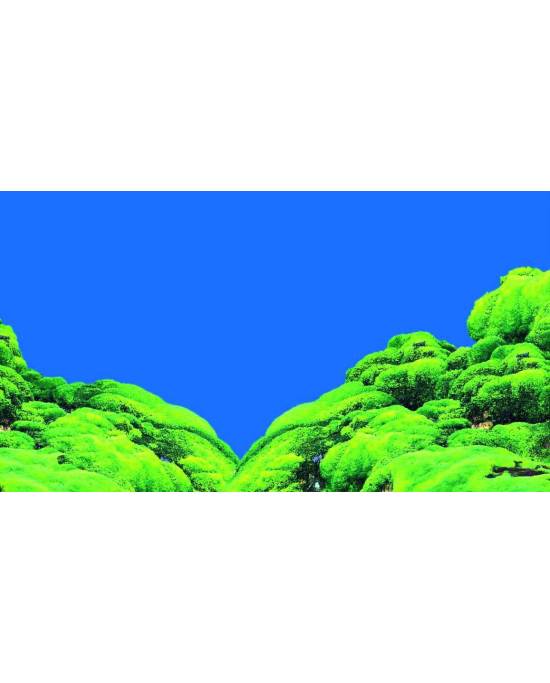 Hobby - Poster - 2 faces - Spring/Moss - 50 cm x 25 m