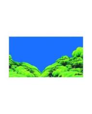 Hobby - Poster - 2 faces - Spring/Moss - 50 cm x 25 m