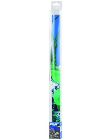 Hobby - Poster - 2 faces - Scaper's Hill/Forest - 120x50 cm - s.s.
