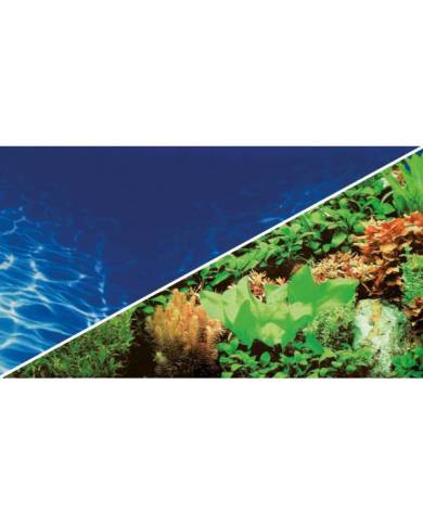 Hobby - Poster - 2 faces - Plantes/Marin Blue 120x50 cm - s.s.