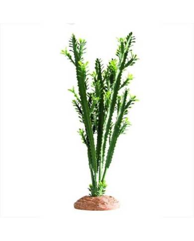 Hobby - Euphorbia L - 25x10x49 cm