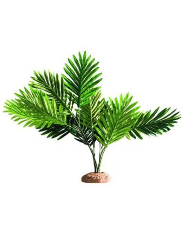 Hobby - Palm/Palmier - 60x55x40 cm