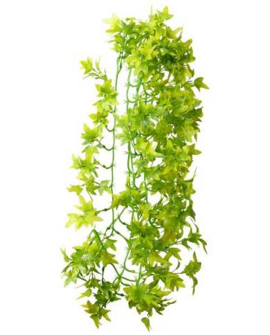 Hobby - Climber Ivy - 70 cm - s.s.